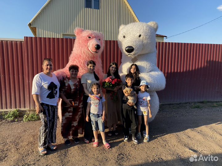 Белый Мишка и Розовый экспресс поздравление 03