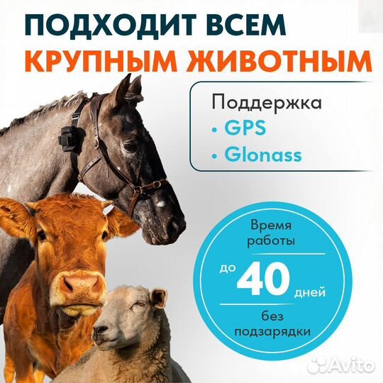 Gps tracker для коров