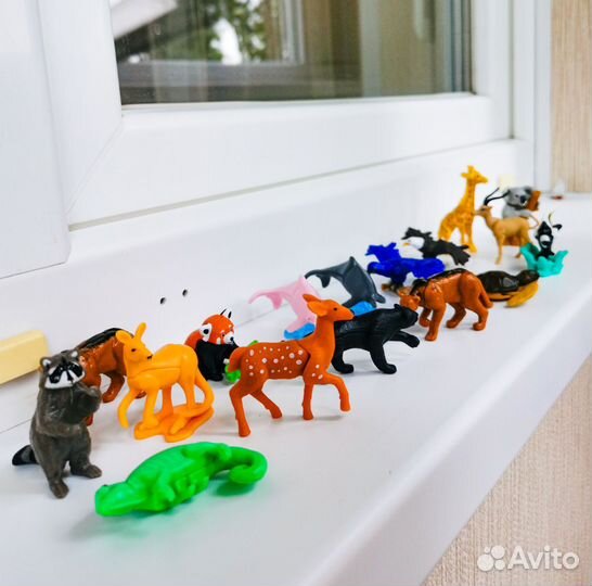 Kinder Natoons 2024 2023 2022