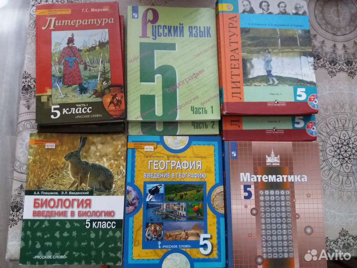 Литература, русский язык и др. 5 класс