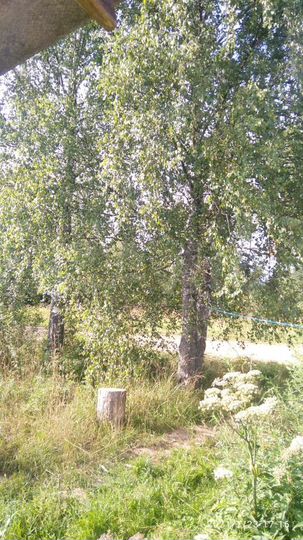 Дом 89,2 м² на участке 55 сот.