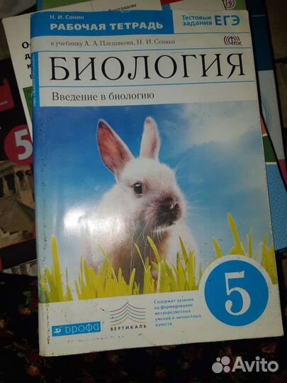 Книги 5 класс