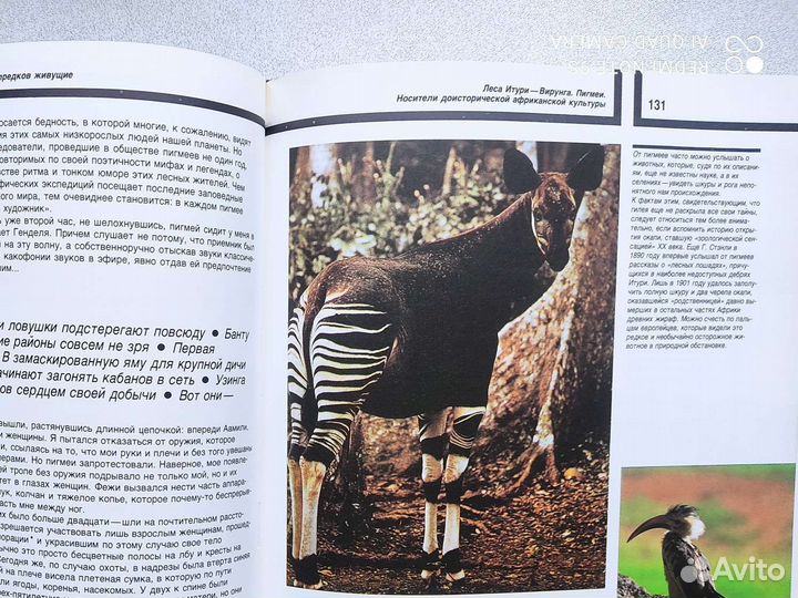 Книги о животных