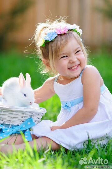 Карликовые кролики. Москва