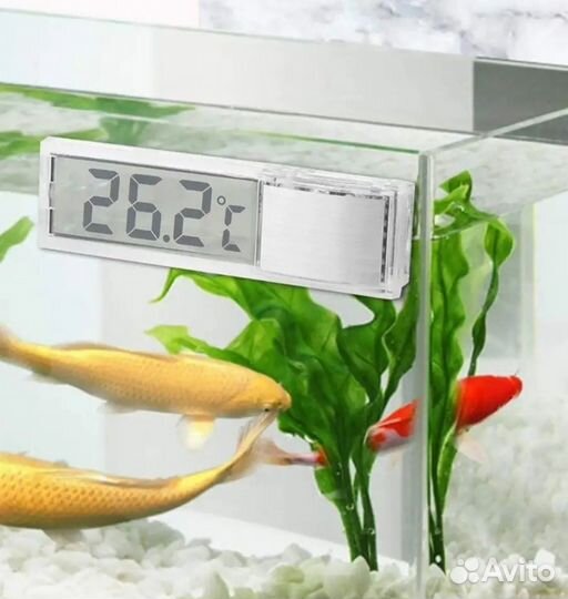 Термометр для аквариума