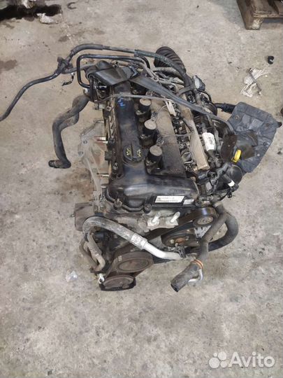 Двигатель qqdb 1.8L бензин Форд Фокус 2