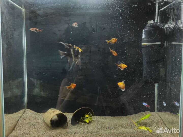 Аквариума 50 л