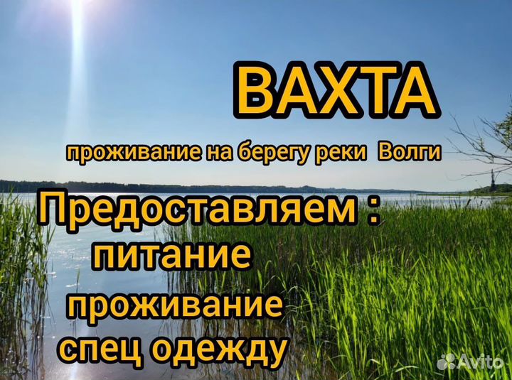 Мебельная фабрика Упаковщик/Обед,проезд