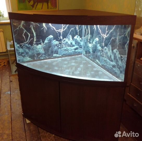 Аквариум в каждый дом