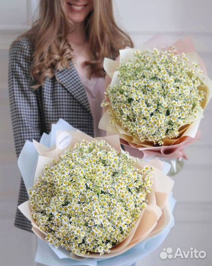 Доставка цветов. Ромашки