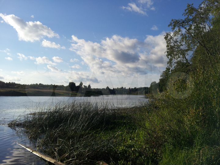 Участок 2,5 га (ИЖС)