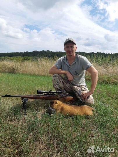 Сурчиный жир