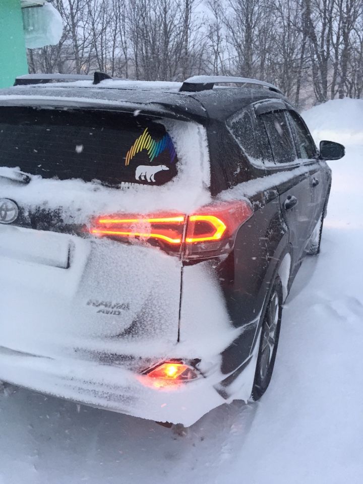 Toyota RAV4: фото владельца