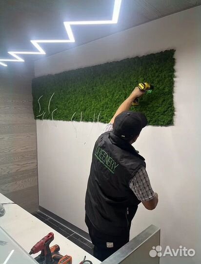 Стабилизированный мох панно