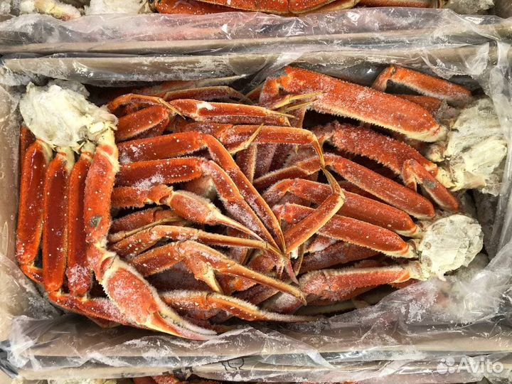 Краб Стригун