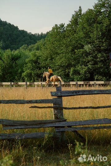 Конные прогулки
