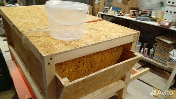 Брудер для цыплят