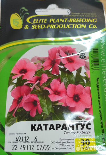 Семена катарантус