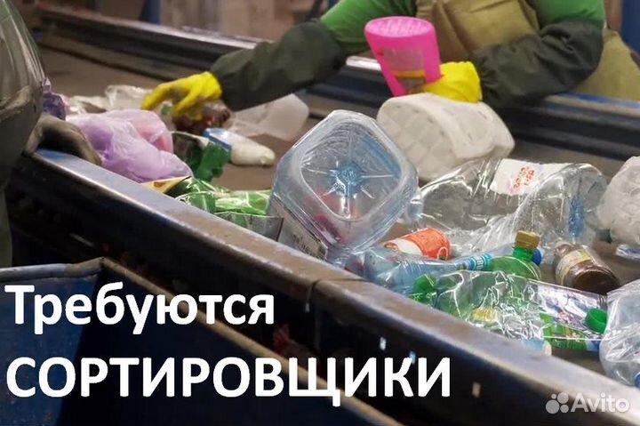 Сортировщик (разнорабочий)