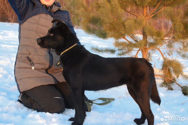 Мега классная Ксива