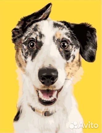 Картины по номерам 40 50 холст на подрамнике