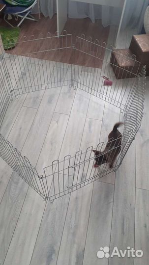 Вольер для мелких собак