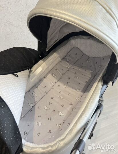 Коляска adamex gloria