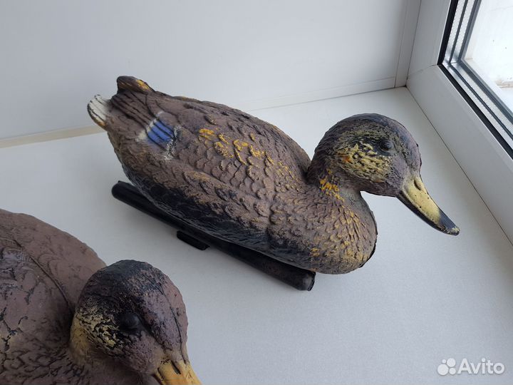 Подсадная утка-манок. Приманка. Селезень. Охота