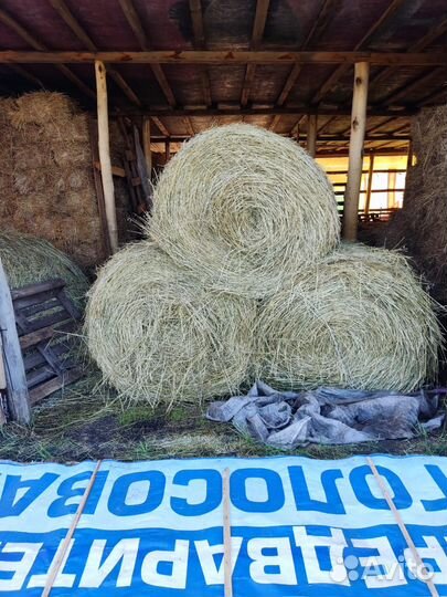 Сено, солома