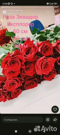 25 роз Эквадор