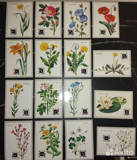 Набор открыток