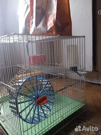 Клетка для грызунов бу