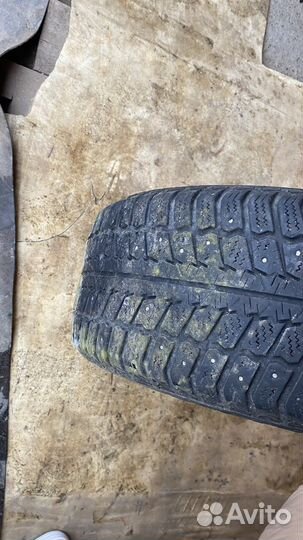 Barum Norpolaris 205/55 R16