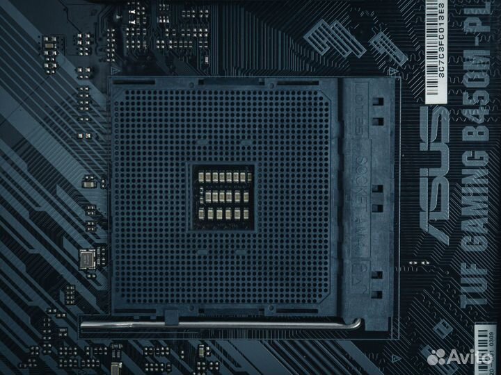 Asus TUF Gaming B450M-Plus II / Гарантия