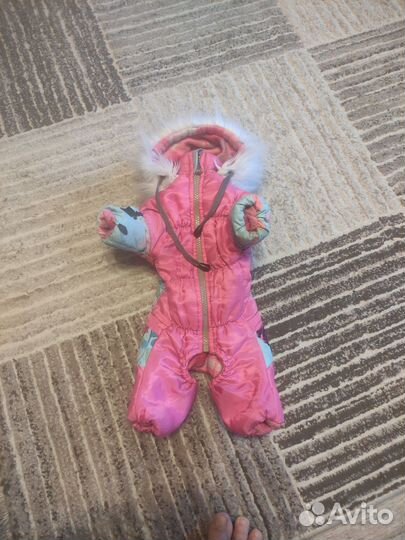 Одежда для маленьких собак зимняя