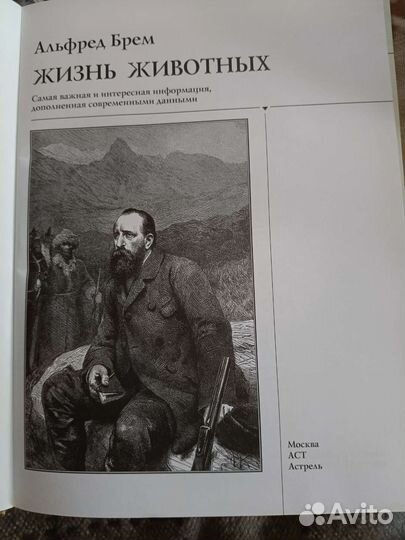 Познавательные книги