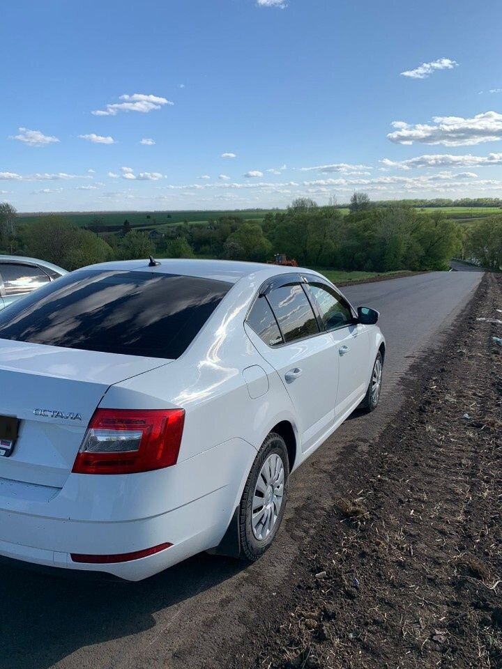 Skoda Octavia: фото владельца