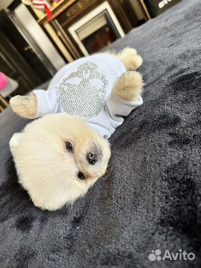 Мальчик Мишка в стрижке