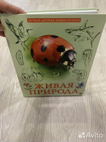 Энциклопедия