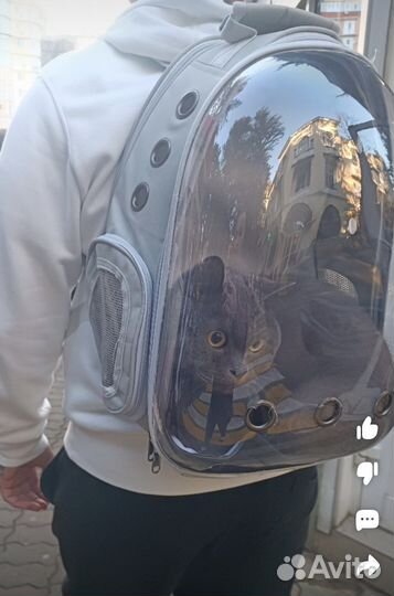 Раскладной рюкзак палатка для кошек и собак