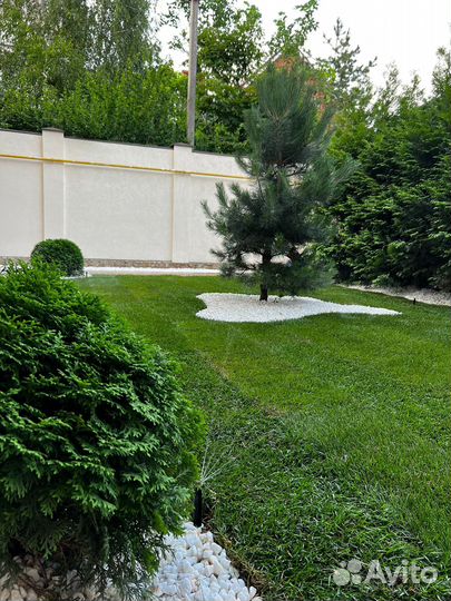 Рулонный газон с укладкой