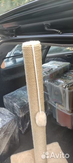 Когтеточка для кошки