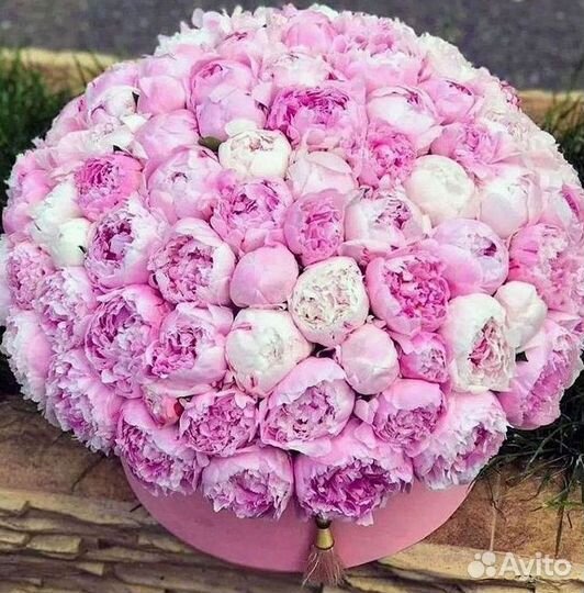 Пионы Розы Доставка