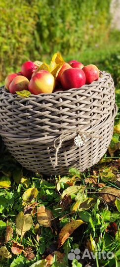 Кашпо напольное из искусственного ротанга