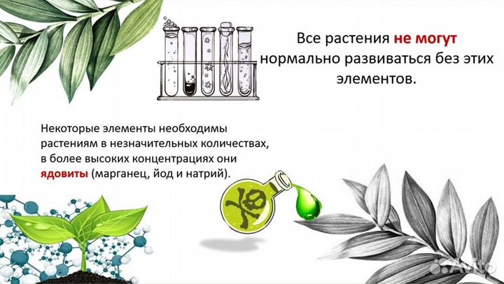 Школьные презентации