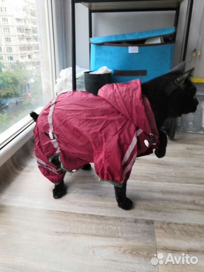 Дождевик комбинезон на маленькую собачку