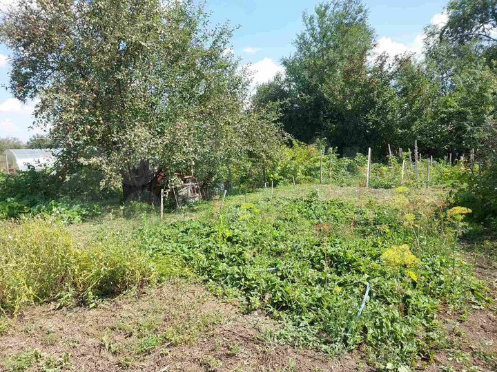 Участок 5,4 сот. (СНТ, ДНП)