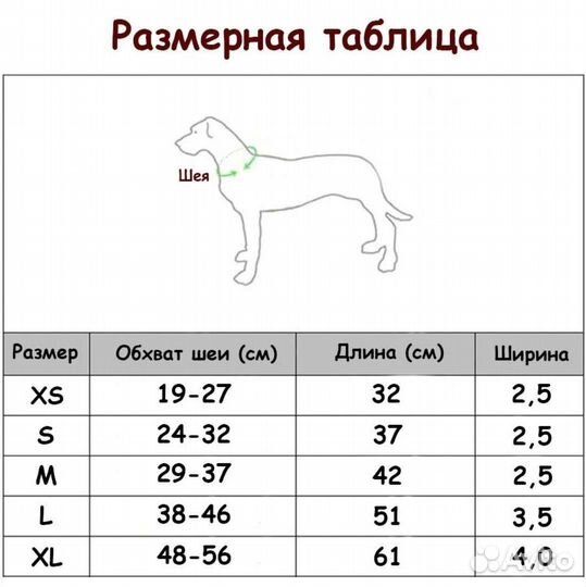 Ошейник для собак с шипами