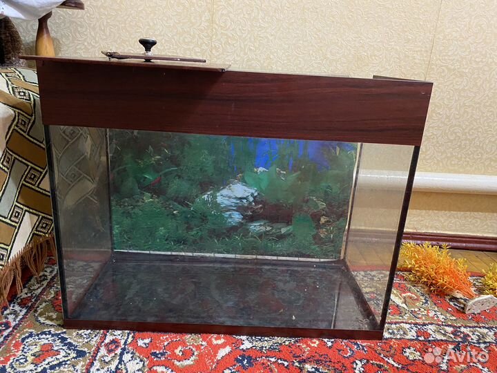 Аквариум 60 литров