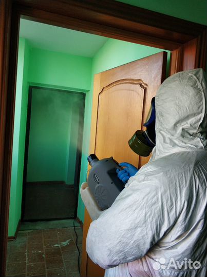 Уничтожение тараканов